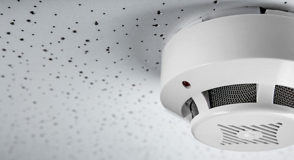 Smoke alarm attached to false ceiling indoors.