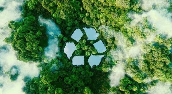 Blog cover showing recycle symbol in between trees from above.