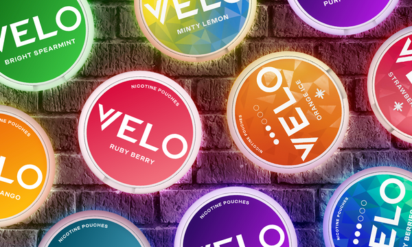 Our Favourite Velo Nicotine Pouches
