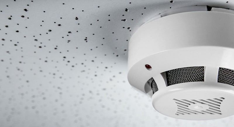 Smoke alarm attached to false ceiling indoors.