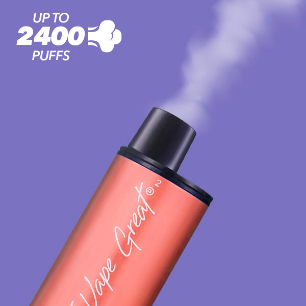 IVG Up to 2400 Puffs